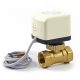 Motorized reciprocating valve 2-way valve zone valve heating DN25 1" internal thread connectors 230V Motorized reciprocating switching