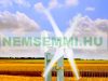 Wind generator wind turbine for 300 W 12 V systems